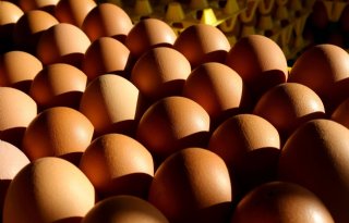Rabobank: eierprijzen blijven in 2023 hoog
