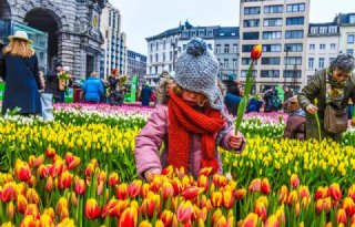 Vlaams sierteeltseizoen start met pluktuin in Antwerpen