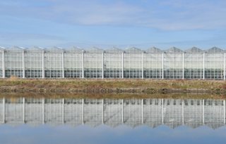 'Glastuinbouw veroorzaakt na 2027 geen normoverschrijding meer'