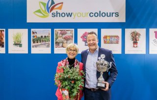 Rosa Rosy Boom Colour Change wint Show Your Colours Award
