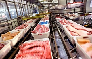 Analyse: Europese varkensslachterijen kunnen hun messen gaan slijpen