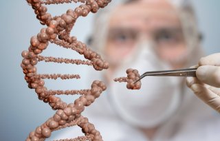 Rabobank verwacht snelle acceptatie van gene-editing