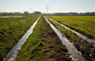 Grondwaterstanden in heel Nederland weer hersteld