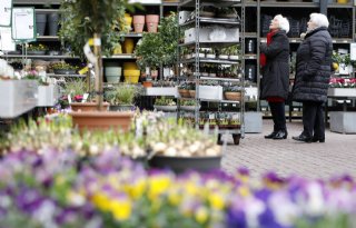 Tuinbranche realiseert hogere omzet met lagere verkoopcijfers