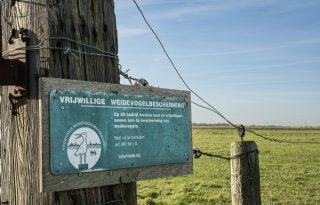 'Wat wil je met de natuur, vogels of vossen?'