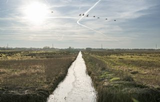 Proef met ruilen natuurgrond in stroomgebied Drentsche Aa