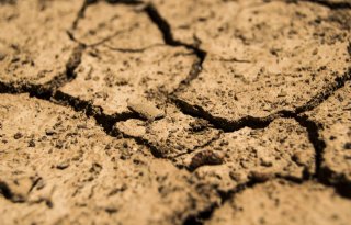 Bayer: ruim 70 procent boeren ondervindt gevolgen klimaatverandering