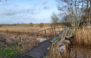 GroenLinks wil gebiedsproces in Reestdal tussen Overijssel en Drenthe