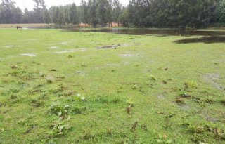 Steun+voor+Brabantse+boeren+die+watermaatregelen+nemen