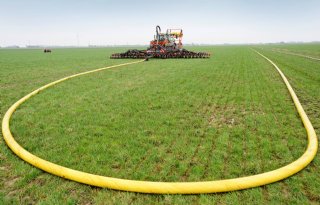 RIVM: in 2022 minder nitraat in grondwater derogatiebedrijven