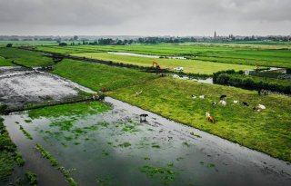 Meerdere oorzaken voor dijkverschuiving bij Reeuwijk