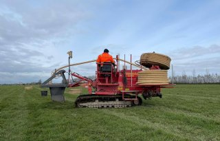 Boeren in Meijepolder gaan bodemdaling remmen op bijna 300 hectare