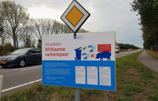 5 vragen over verspreiding Afrikaanse varkenspest