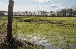 Natuurkwaliteit in Drentsche Aa blijft nog achter