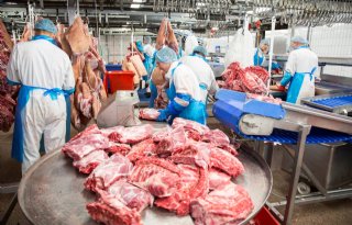EU-label kan helpen varkensproductie te verduurzamen