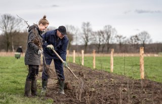 Boeren planten 27.000 bomen via campagne 1001ha