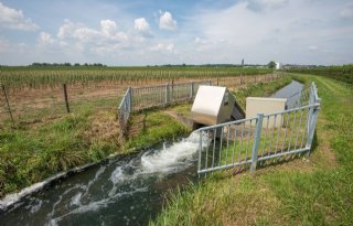 BBB en Water Natuurlijk grote winnaars waterschappen in ZLTO-werkgebied