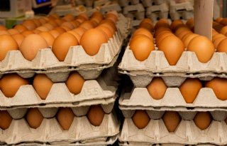 Eierprijzen boerderijwinkel stijgen minder hard