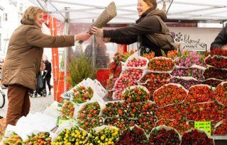 Brancheorganisatie voor bloemisten voert lobby tegen btw-verhoging op