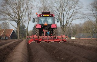 LTO en Vavi: impact gewaslijst enorm voor aardappeltelers op zand- en löss