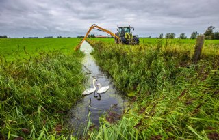 'Waterplanten kunnen boer helpen bij verbeteren waterkwaliteit'