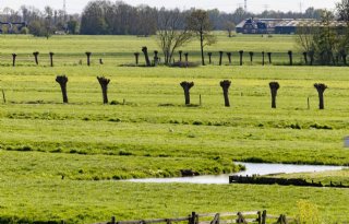 Zuid-Holland geeft subsidie voor biodiversiteit en waterkwaliteit