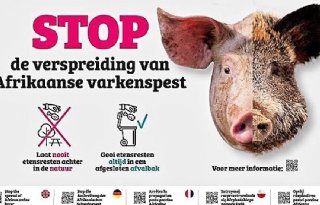 Duidelijkere waarschuwingsborden tegen Afrikaanse varkenspest