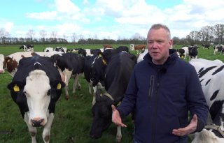 Melkveehouder: 'Extra opbrengsten dankzij hoger waterpeil'