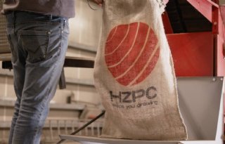 HZPC bepaalt uitbetalingsprijs op 37,44 euro per 100 kilo