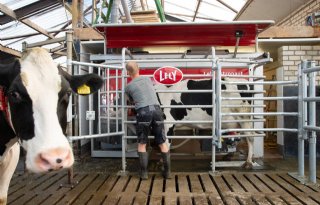 Eko-Holland houdt de melkprijs gelijk