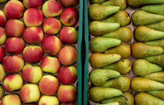 Europese appel- en perenoogst lager dan vorig jaar