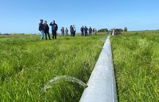 Veenweideboer bevloeit grasland: meer droge stof en hoger grondwaterpeil