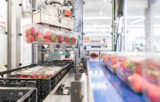 FruitMasters zet met masterplan in op efficiëntie en capaciteit