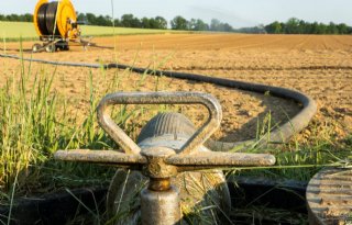 Oplossing+voor+verbod+op+waterbronnen+bij+Flevolandse+boeren+nog+niet+in+zicht