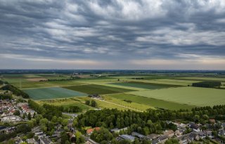 Zuid-Holland gaat alle verwilderde herten in Hoeksche Waard afschieten