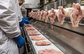 Minder varkensvlees en meer pluimveevlees in Europa