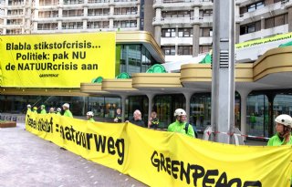Greenpeace dagvaardt overheid om andere stikstofaanpak af te dwingen