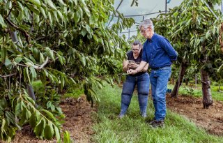 'Korte keten vergroot gemeenschapszin, blijkt na stormschade fruitboomgaard'