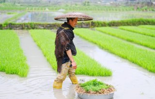 Zware regenval in China, ministerie schiet boeren te hulp