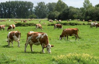 Europese Commissie: Nederland steunt biosector onvoldoende