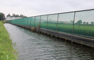 Minder normoverschrijdingen middelen in boomteeltgebied Boskoop