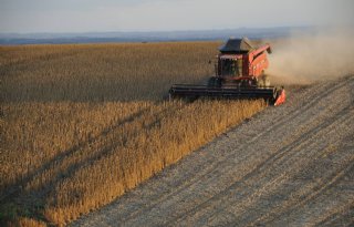 VS verwacht dit jaar meer mais en minder soja