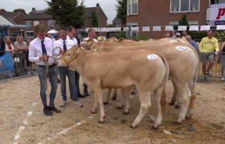 Aandacht voor Nederlands vlees bij veekeuring Enter