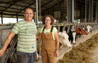 Melkveehouders Piet en Anje Grin zitten met de handen in het haar