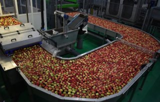 Nieuw sorteercentrum voor appels en peren vol met technische snufjes