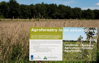 LTO zet zich in voor ontwikkeling agroforestry