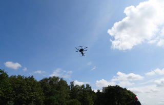 Drone zaait groenbemester in volwassen maisperceel