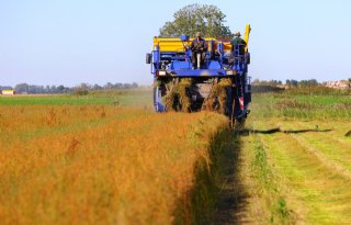 Inspraakronde voor stimuleren koolstofcertificaten in vezelteelten