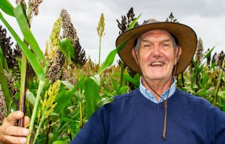 Plantenspecialist ziet veel kansen voor sorghum