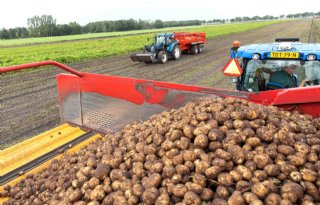 Stichting+TBM+beschermt+al+vijftig+jaar+zetmeelteelt